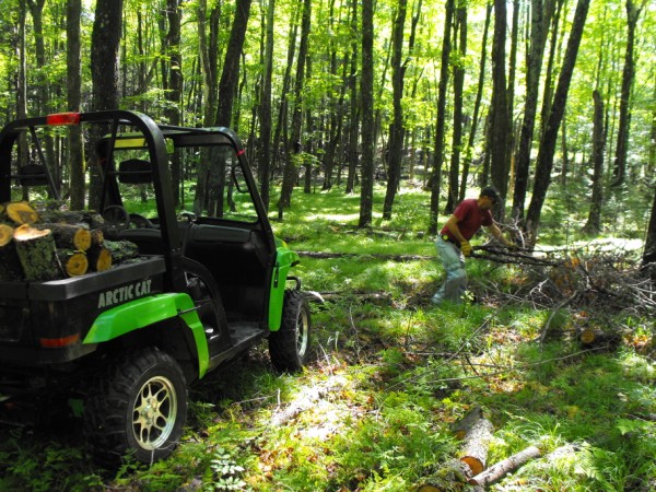 Wood Hauling