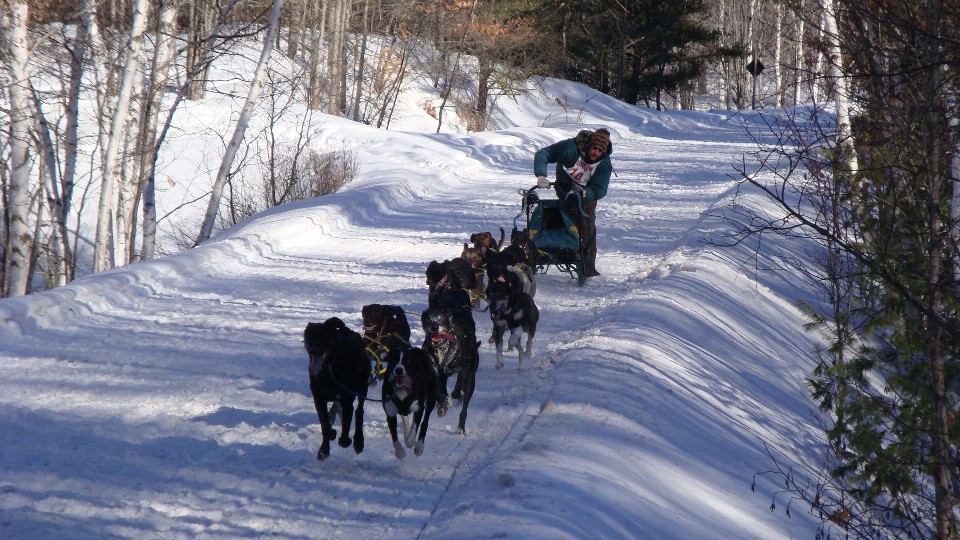 Dog Sled Races 2009